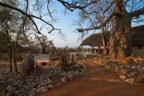 Zingela Nature Reserve - Baobab Tented Camp